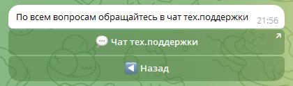 Скриншот чата поддержки